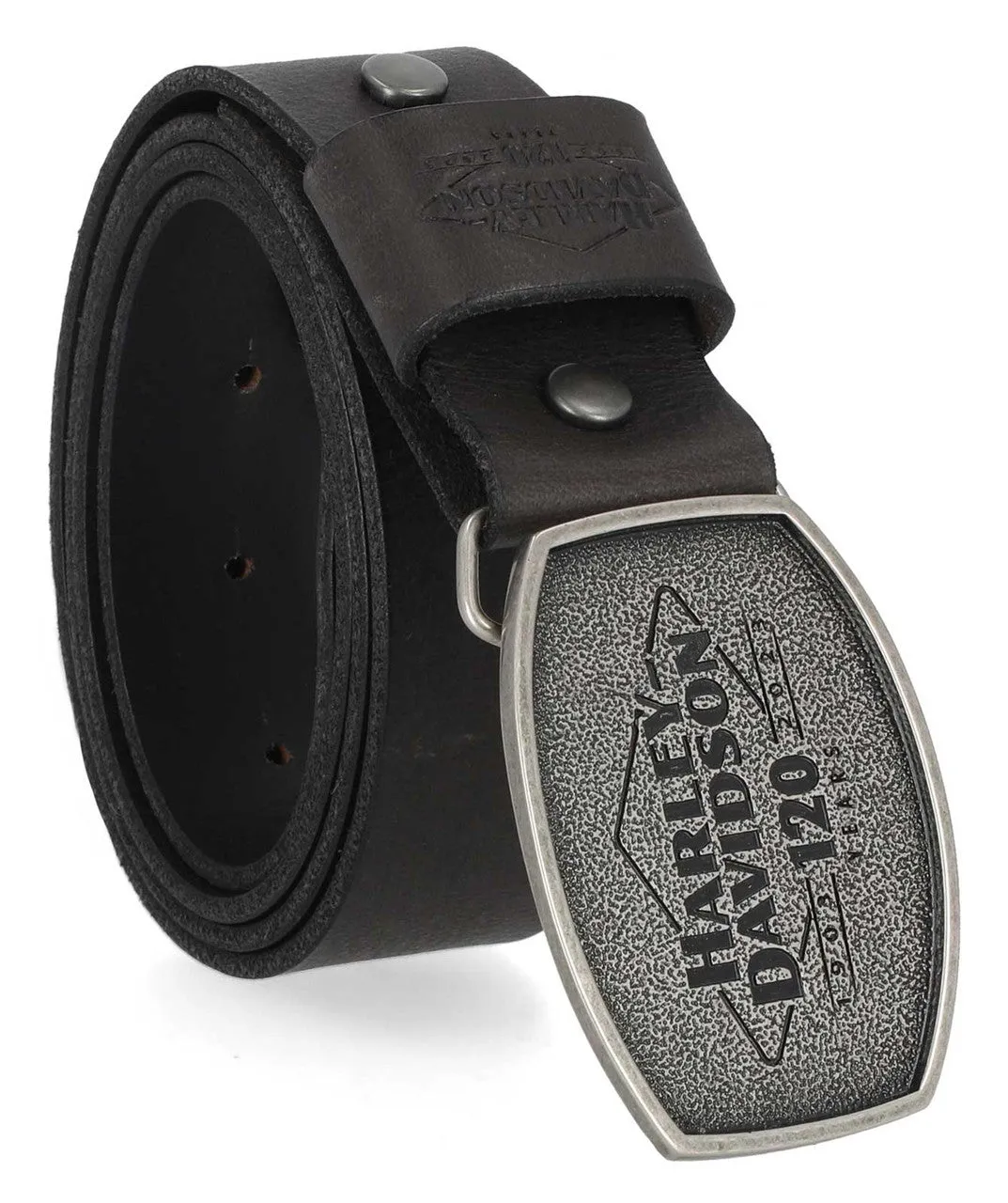 120th Anniversary Snap On Buckle Leather Belt